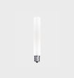 Incandescent 120V T6.5 Frosted Bulb Fashion